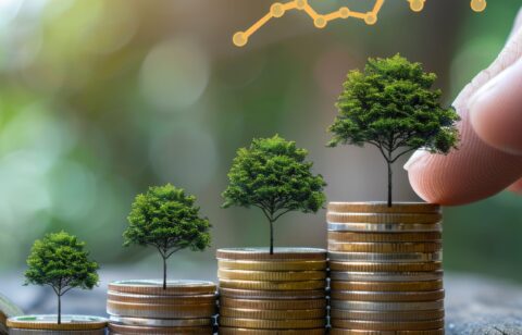 growth-investment-represented-by-coins-trees-illustrating-sustainable-finance-concepts-n