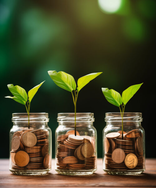 glass jars with money and plants on a wooden table framed by a wooden background, in the style of associated press photo, rich --ar 29:44
